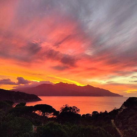 Hotel Scoglio Bianco Portoferraio Buitenkant foto
