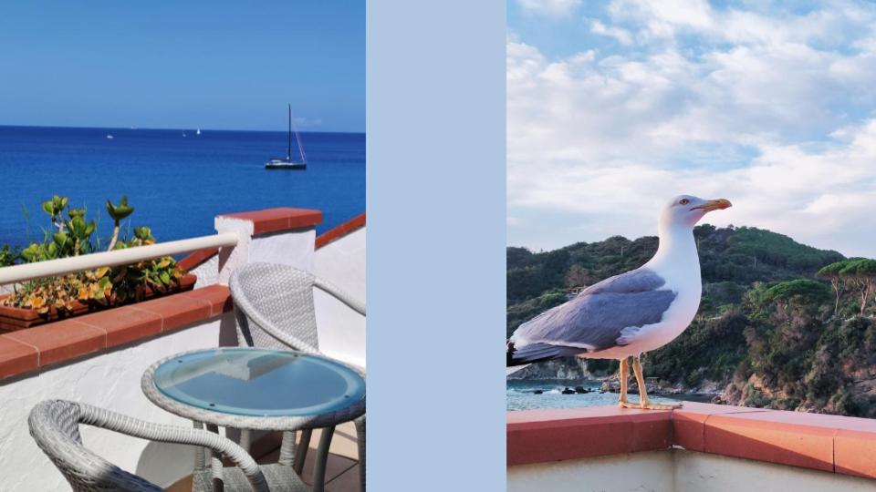 Hotel Scoglio Bianco Portoferraio Buitenkant foto
